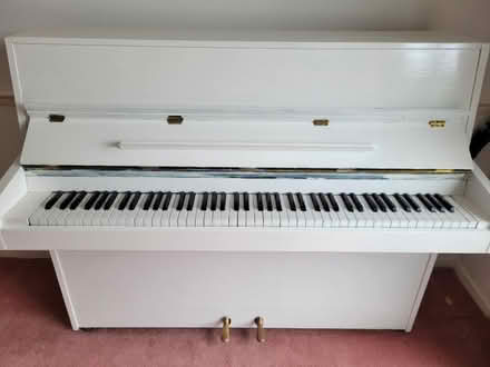 Photo of free Piano (Lords Wood ME5) #1