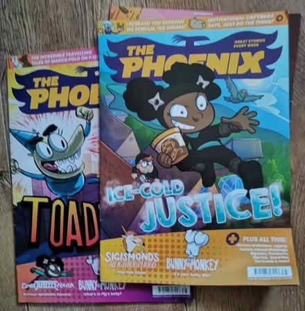 Photo of free Job Lot bundle Of The Phoenix childrens magazines (Low Beechburn DL15) #1