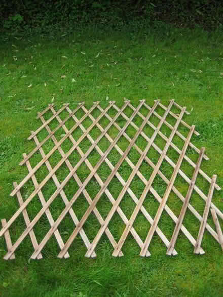 Photo of free Garden trellis. (Harwell OX11) #1