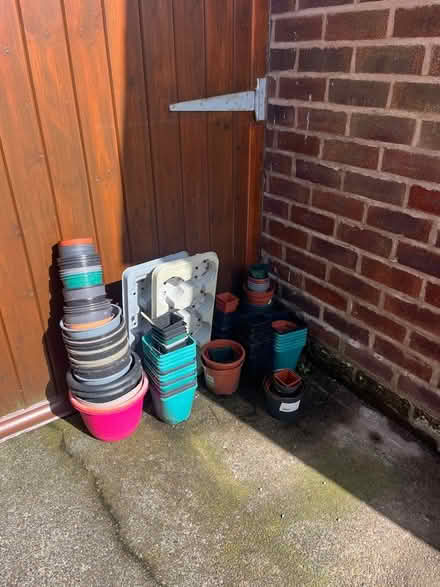 Photo of free Plastic plant pot (WA1) #1