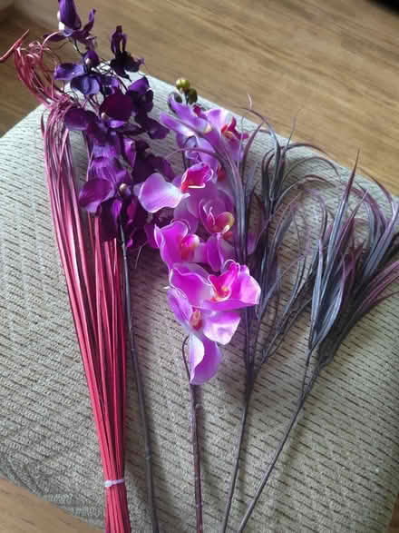 Photo of free Dried flowers (Broxbourne (EN10)) #1