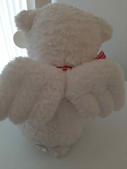 Photo of free Angel wing bear (Farmington Hills) #1