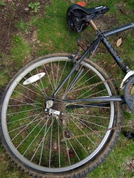 Photo of free Adult bike (Caversham Heights RG4) #4