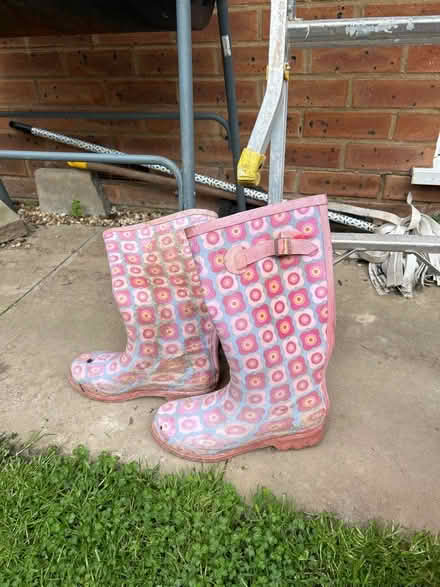 Photo of free Wellington boots (Hatfield) #1