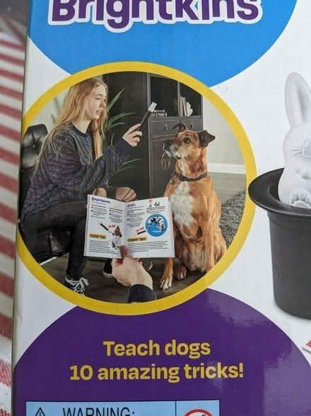 Photo of free Fun dog training set (Camberley GU15) #3