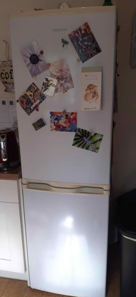 Photo of free Bush fridge freezer (Sunnyside S66) #1