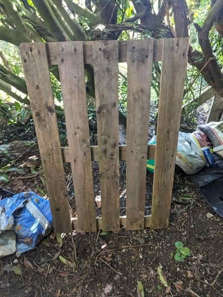 Photo of free Wooden pallets x 5 (Ware SG12) #4