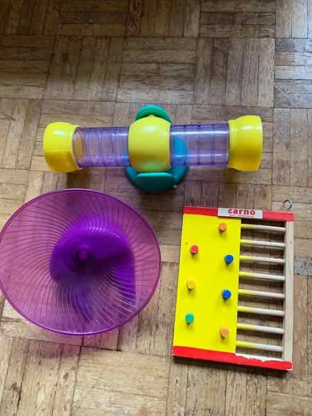 Photo of free Hamster bits (Fleetville AL1) #1