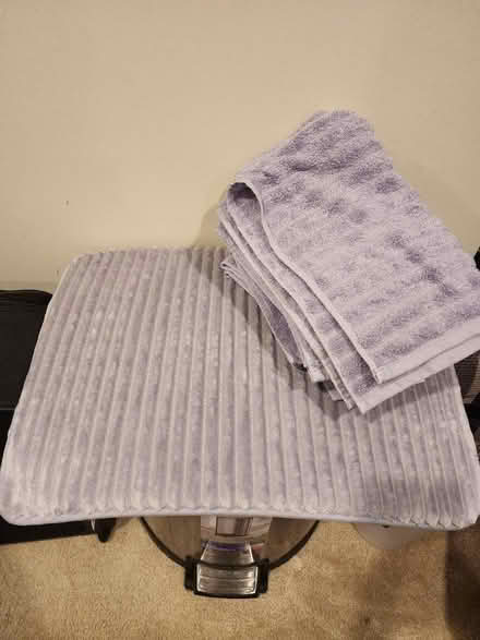 Photo of free Throw blanket, bath mat, handtowels (Upper Marlboro) #2