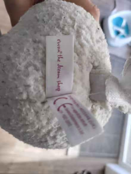 Photo of free Ewan The Dream Sheep (South Queensferry EH30) #3