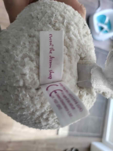 Photo of free Ewan The Dream Sheep (South Queensferry EH30) #3