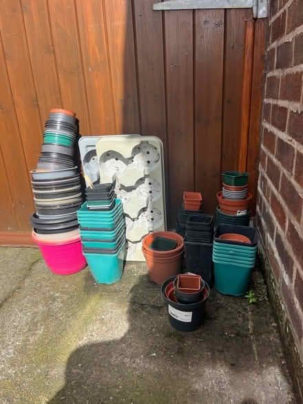 Photo of free Plastic plant pot (WA1) #3