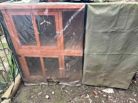 Photo of free Rabbit hutch (Hatfield) #3