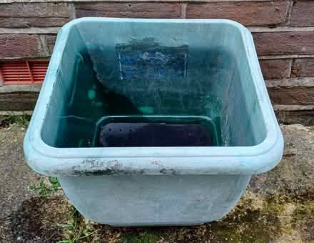 Photo of free Large Garden Planter/Pot (Plastic, self watering) (Emsworth PO10) #2