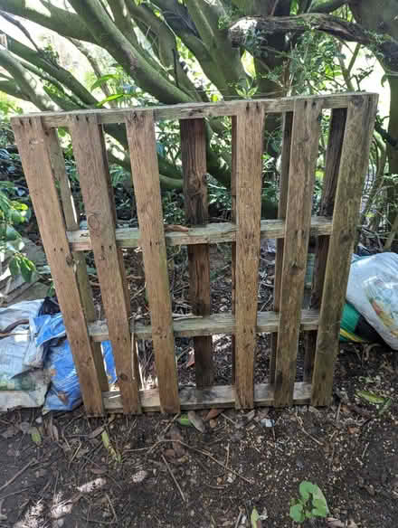 Photo of free Wooden pallets x 5 (Ware SG12) #2