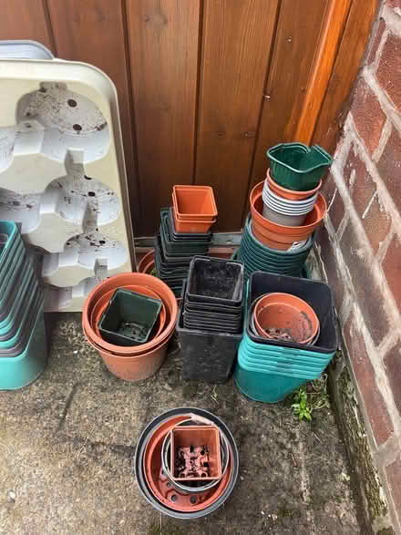 Photo of free Plastic plant pot (WA1) #2