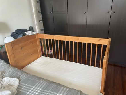 Photo of free cot (Marchmont EH9) #1