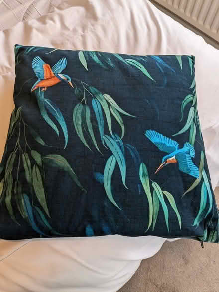 Photo of free Dunelm kingfisher cushion (Camberley GU15) #1