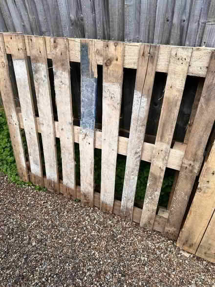 Photo of free Wooden palettes (Elmers End BR3) #1