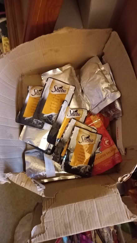 Photo of free Surplus cat food (Bernards Heath AL1) #1