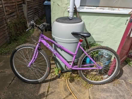 Photo of free Purple ladies' bike (Ware SG12) #1