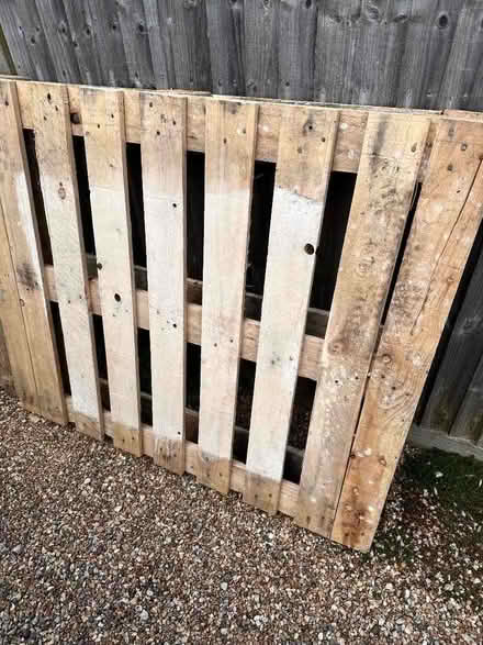 Photo of free Wooden palettes (Elmers End BR3) #2
