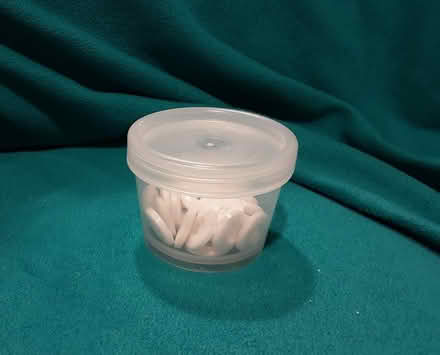 Photo of free White Buttons (Meadowvale Village) #1