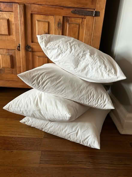 Photo of free Four IKEA Fjadrar cushion inserts (Neutral Bay) #1