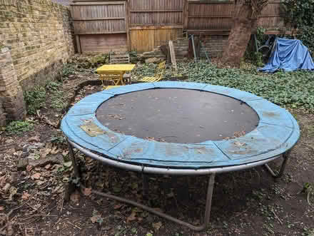 Photo of free trampoline (london NW1 9a*) #3