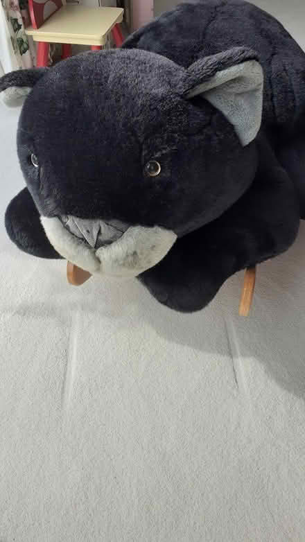 Photo of free Large chids rocker cat (thorpe bay SS1) #3
