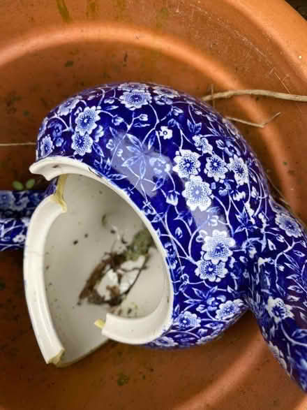 Photo of free Teapots for mosaic project? (Woodingdean BN2) #1