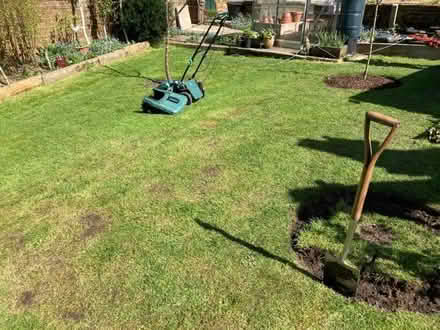 Photo of free Small turfs, just cut approx 22 sq.ft (Hastings TN35) #4