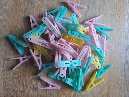 Photo of free Clothes pegs (Biddestone SN14) #1