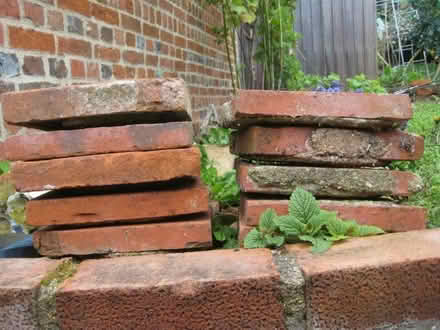 Photo of free Terracotta tiles (9 inches square) (Harwell OX11) #1