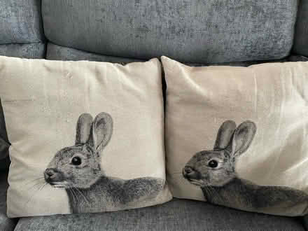 Photo of free 2 cushions (Dronfield S18) #1