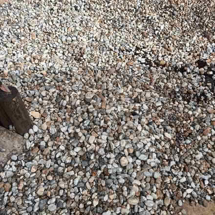 Photo of free Garden pebbles (Langney BN23) #4