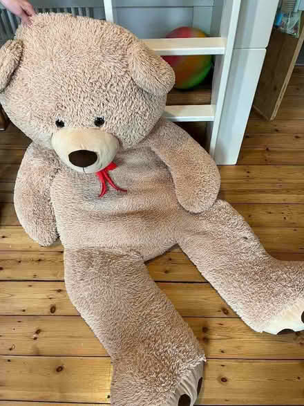 Photo of free Giant teddy bear (Bushey Village WD23) #1