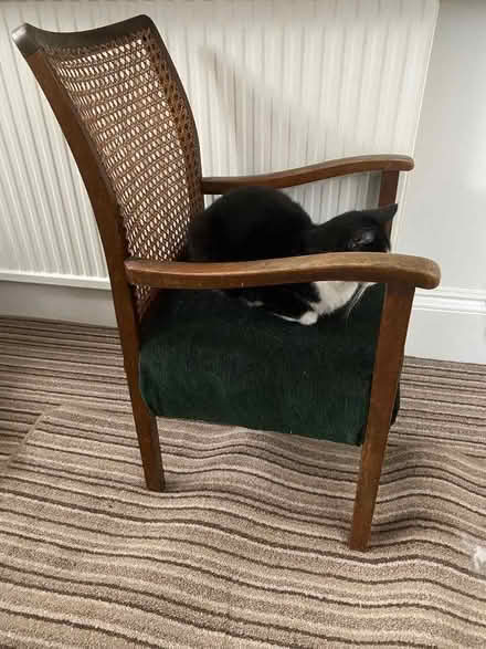 Photo of free Nursing/ child’s chair ( without cat) (Bidston Hill CH43) #2