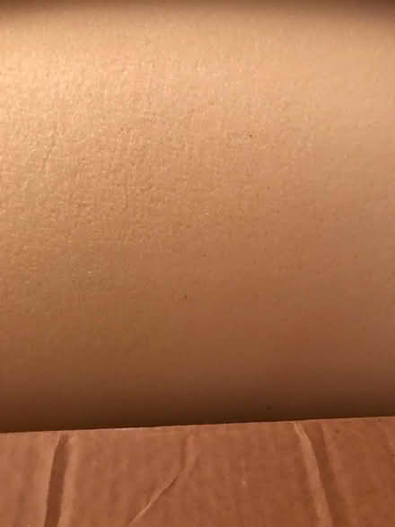 Photo of free 1 1/2” Memory Foam Mattress Topper (Off Oakland Mills Rd. Columbia) #3