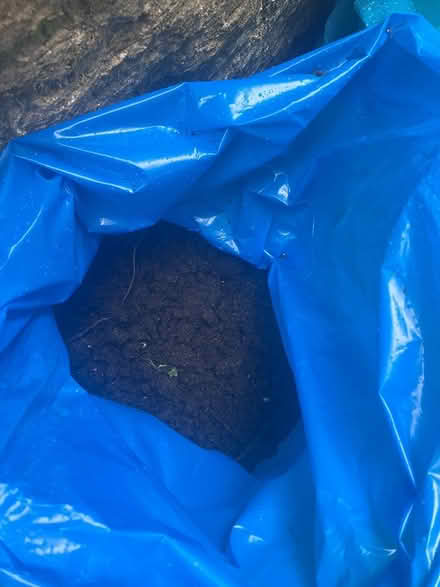 Photo of free Garden soil (Trinity Frome) #1