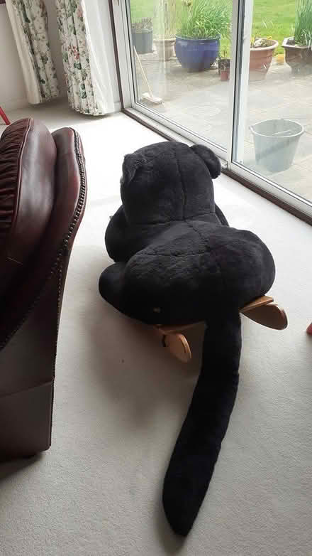 Photo of free Large chids rocker cat (thorpe bay SS1) #4