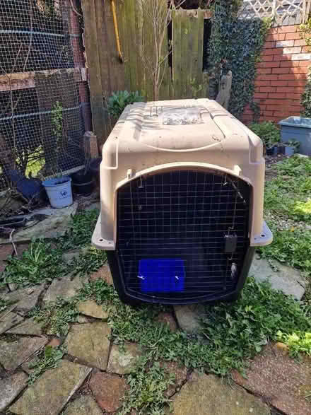 Photo of free Large dog crate (Lache CH4) #1