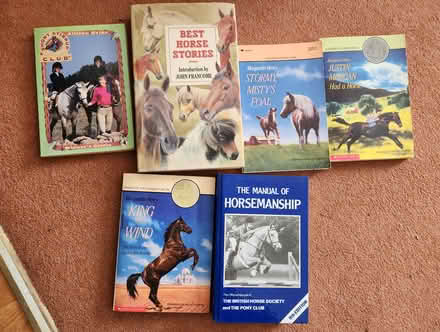 Photo of free Books About Horses (SE2) #1