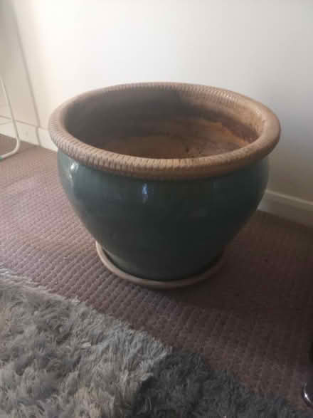 Photo of free Large Plant Pot (Milton Keynes MK4) #1