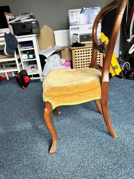 Photo of free Dining chair (Navestock RM4) #4