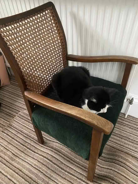 Photo of free Nursing/ child’s chair ( without cat) (Bidston Hill CH43) #1