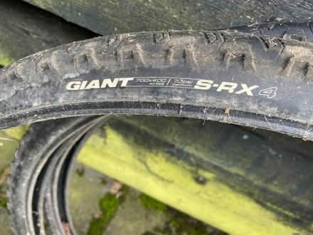 Photo of free Bicycle tyres (Cox Common IP19) #1