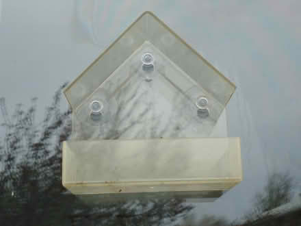 Photo of free Plastic bird feeder with 3 suction cups, attach to window (Willingdon BN20) #1