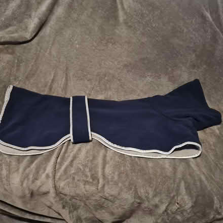 Photo of free Greyhound coat (Northfield B31) #1