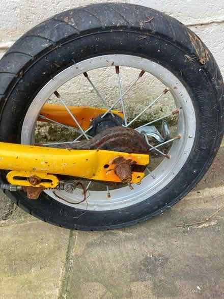 Photo of free Balance bike (Patcham) #3